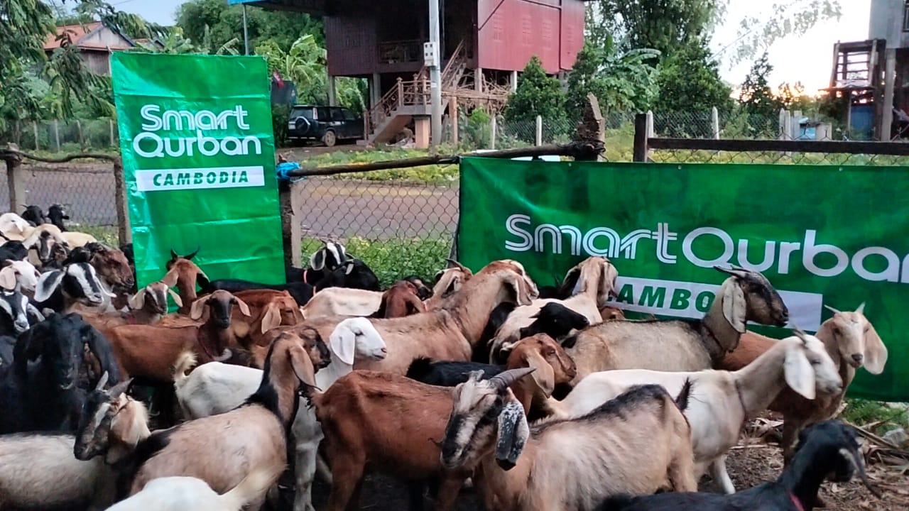 Cambodia (Goat/Cow)