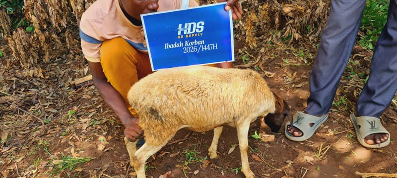 Korban 2026