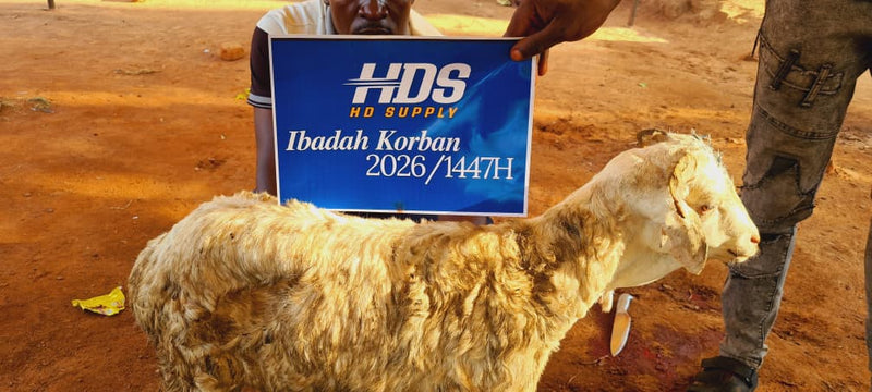 Korban 2026