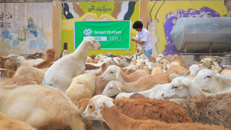 Animals verified before Eid