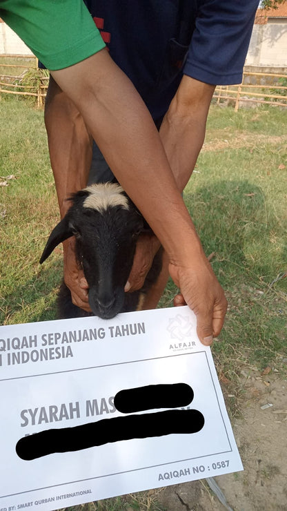 Aqiqah (Mecca & Indonesia)