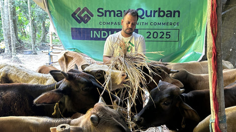 KORBAN IN INDIA 2025